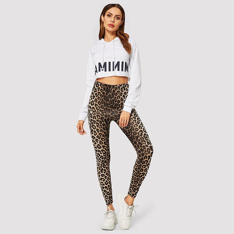 Legging Motif Animalier Taille Haute pour Femme - View 3